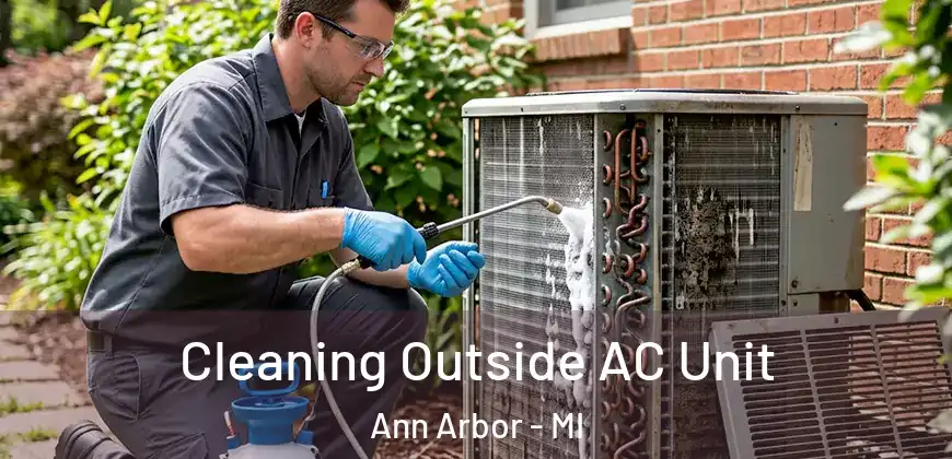 Cleaning Outside AC Unit Ann Arbor - MI